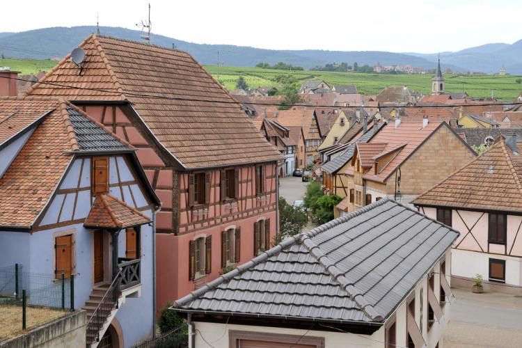 Séjours oenotouristiques en Alsace - Domaine
